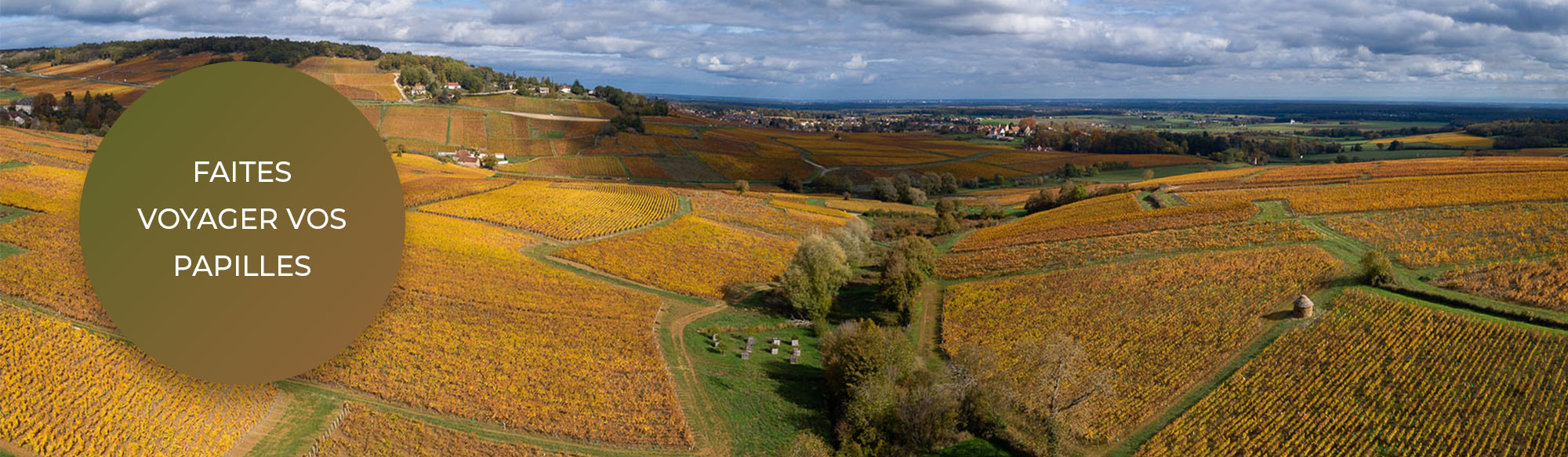 Faites voyager vos papilles avec nos vins 